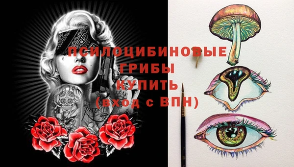 apvp Горнозаводск