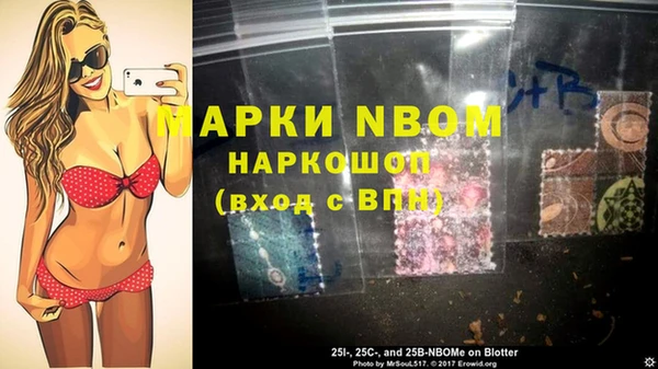 ПСИЛОЦИБИНОВЫЕ ГРИБЫ Горняк