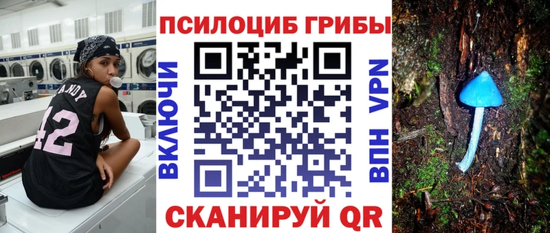 Галлюциногенные грибы Psilocybe  Ленинградская 