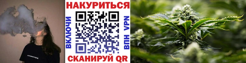 Канабис OG Kush Ленинградская